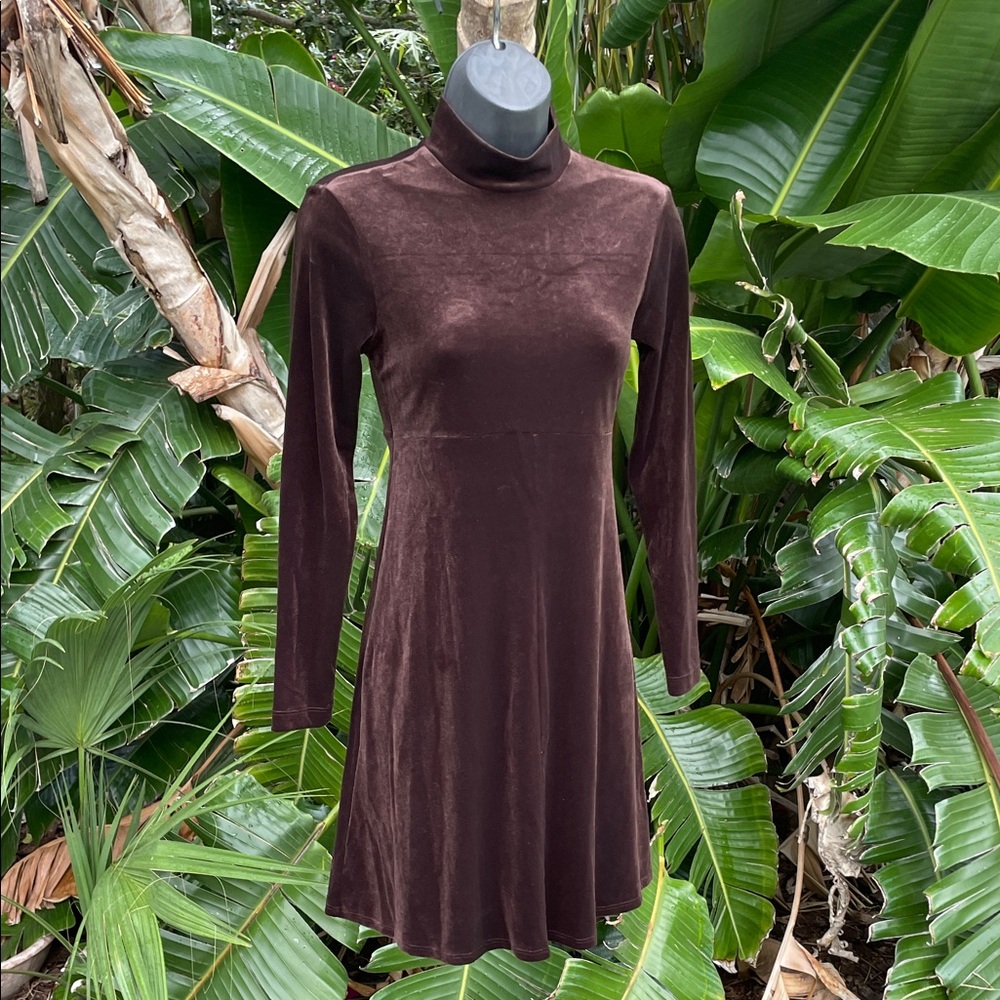 BCBG chocolate brown, velvet or velour dress